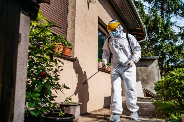 Best Pest Inspection Near Me  in Leonardo, NJ