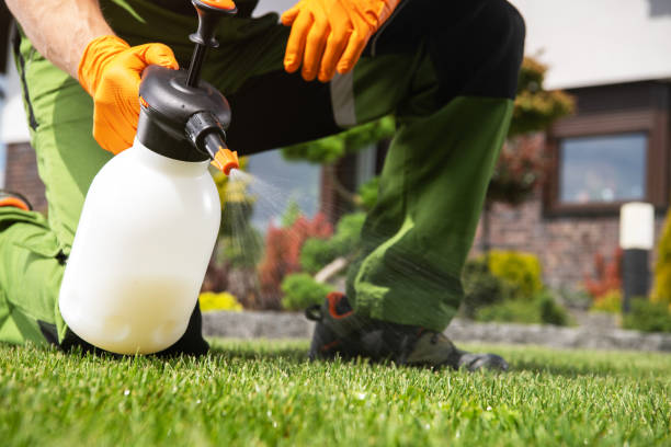 Best Pest Inspection Near Me  in Leonardo, NJ