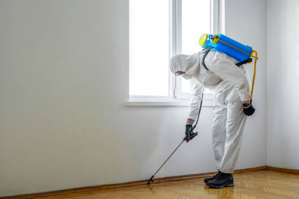 Best Pest Prevention Services  in Leonardo, NJ