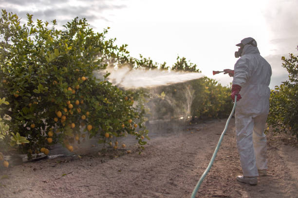 Best Cockroach Control Services  in Leonardo, NJ