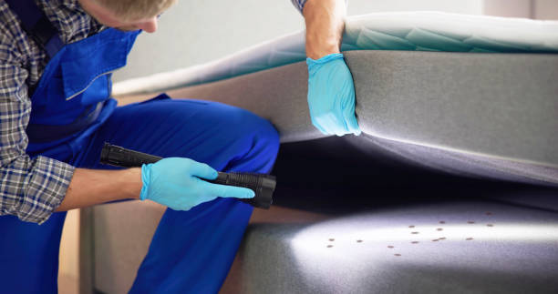 Flea Control Services in Leonardo, NJ