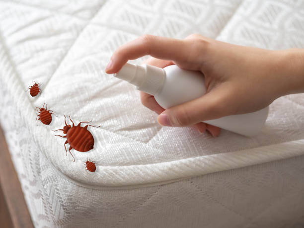 Best Bed Bug Extermination  in Leonardo, NJ