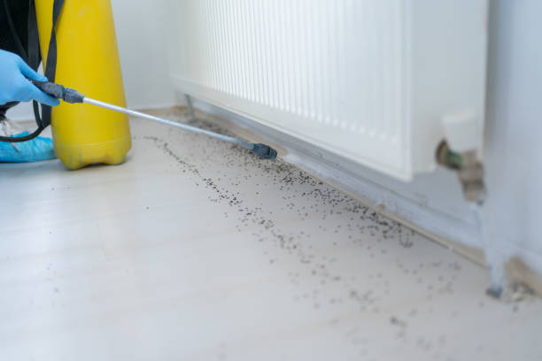 Best Best Pest Control Companies  in Leonardo, NJ