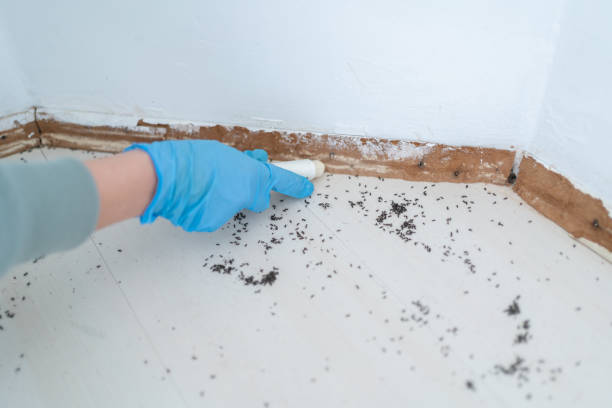 Best Bed Bug Extermination  in Leonardo, NJ