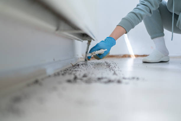 Best Affordable Exterminators  in Leonardo, NJ